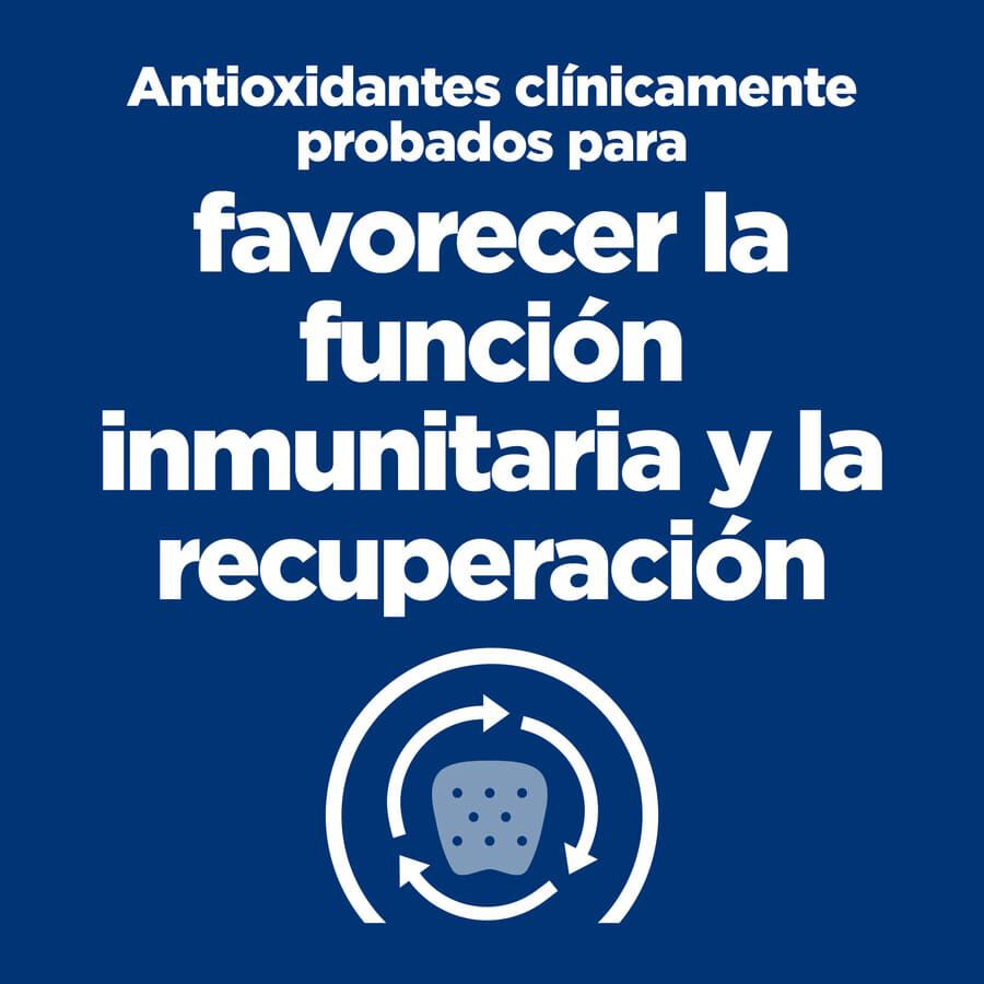 156 g Hill's Prescription Diet Restorative Care frango lata para animais de estima&ccedil;&atilde;o, , large Imagem n&uacute;mero 2